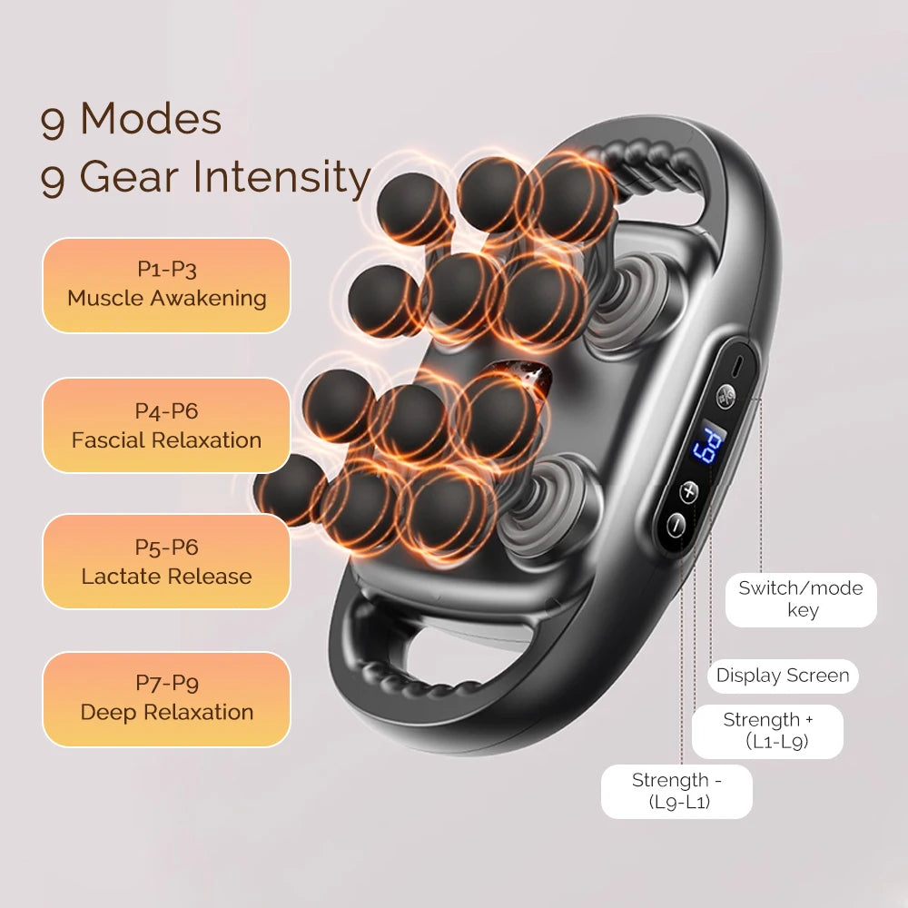 12-Head Multi-Zone Massager